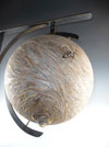 Hornet's Nest thumbnail